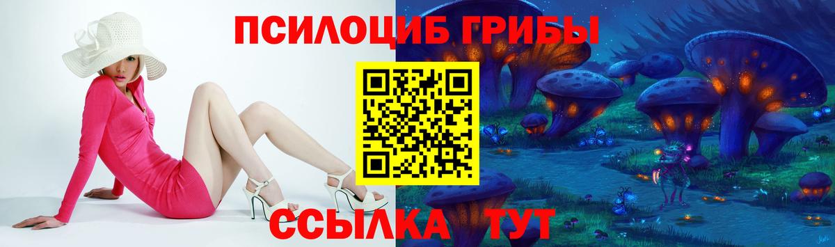 Галлюциногенные грибы Psilocybine cubensis Лабинск